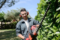 Gartenpflege