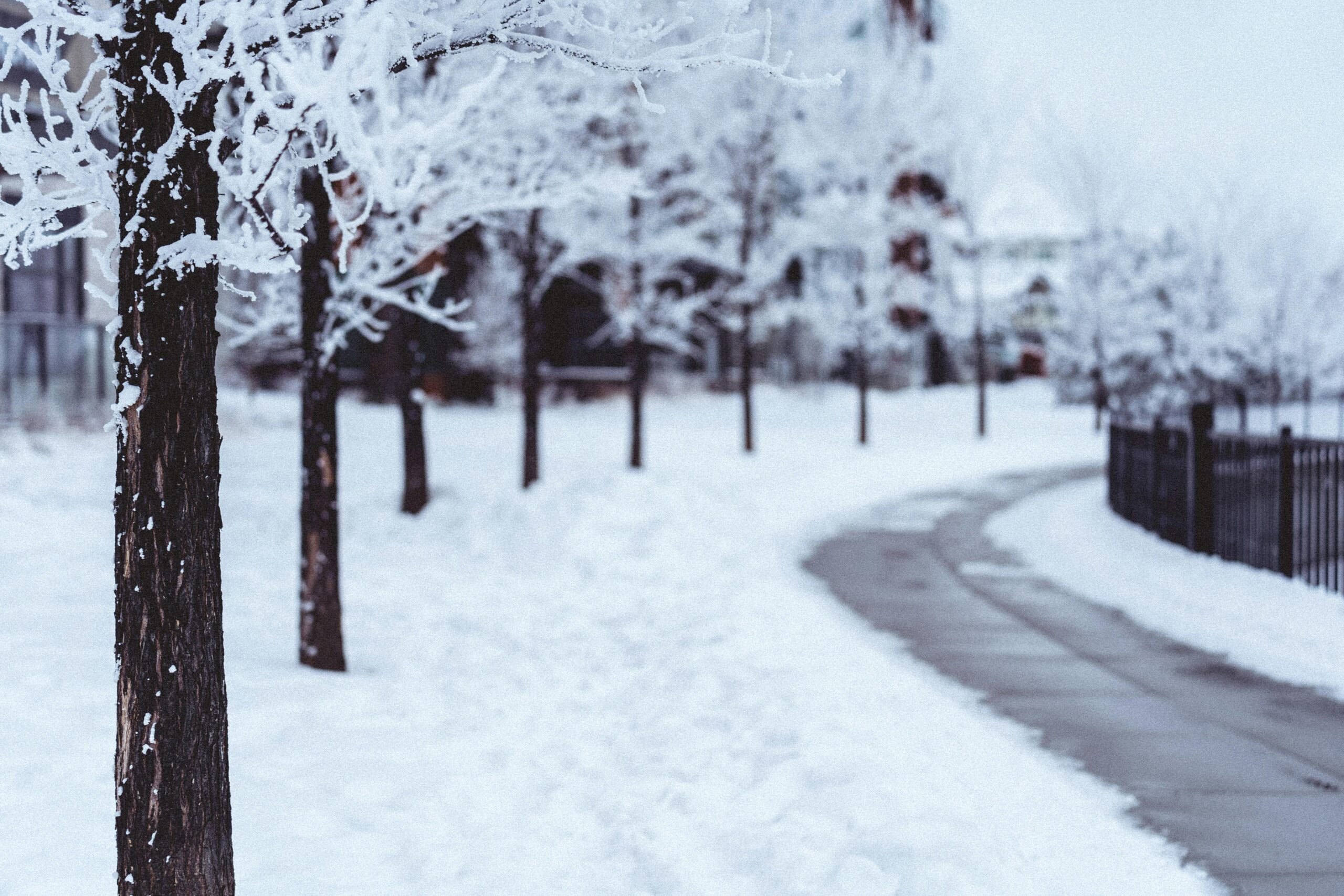 IIMA Winterdienst